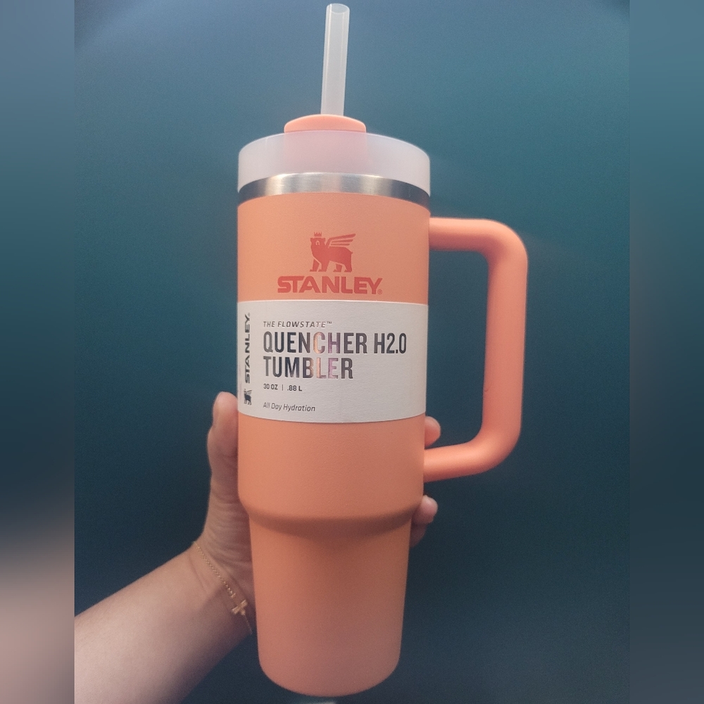 Nectarine 30oz Stanley Tumbler